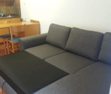 1 Bed Villa/House to Rent - Photo 3