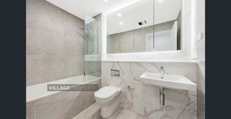 210B/118 Bowden Street, Meadowbank, NSW 2114 - Photo 2