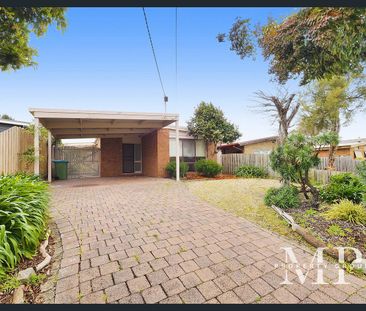 Great Location on Quiet Street - Photo 6