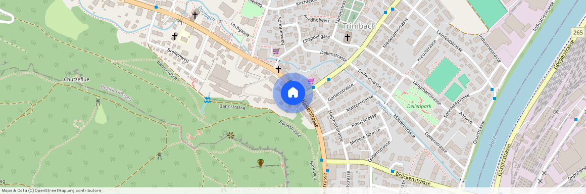 Baslerstr. 81, 4632, Trimbach