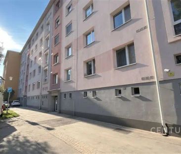 Pronájem bytu 3+1 se dvěma balkony, 72 m - Photo 4