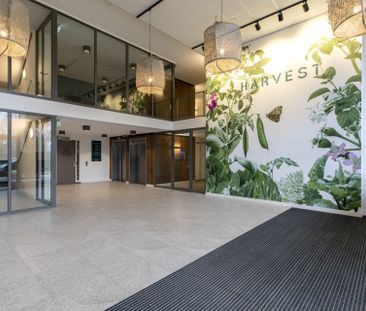 Te huur: Appartement Oude Haagweg in Den Haag - Photo 3