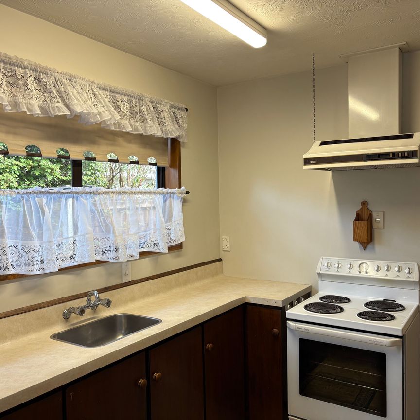 2/4 Payling Lane, Mairehau - Photo 1