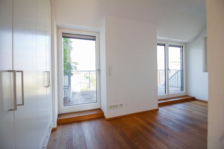 Roof terrace rentals, near Beatrixg./Reisnerstr. - Photo 4