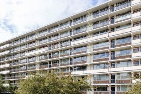 Arendshorst 0ong, 2317 CS Leiden, Nederland - Foto 2