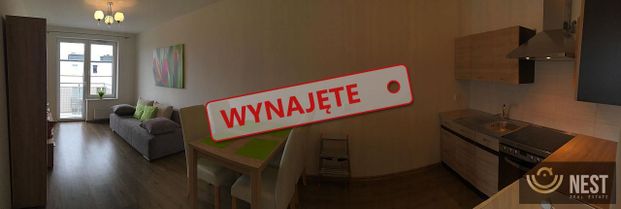 Do wynajęcia dwupokojowe mieszkanie 41m2 ul. Potulicka - Photo 1