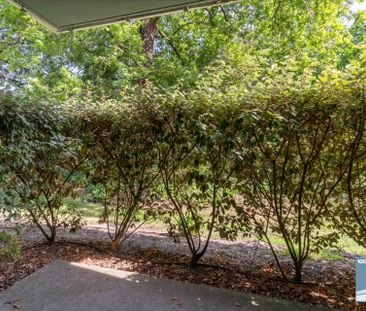 Location Appartement 2 pièces 36m² - Photo 1