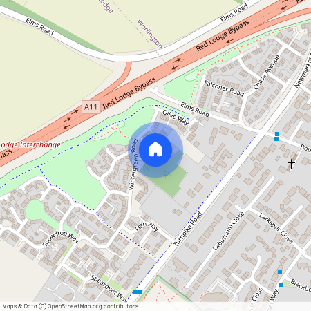 Lime Close, Red Lodge, IP28 8WY