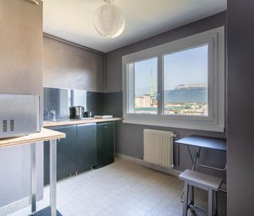 Location Appartement 1 pièce Meublé 25m² ANNECY 74000 - Photo 2