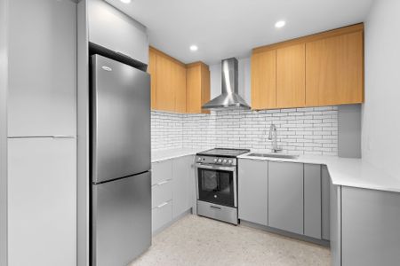 Condo for rent, Montréal (Le Plateau-Mont-Royal) - Photo 3