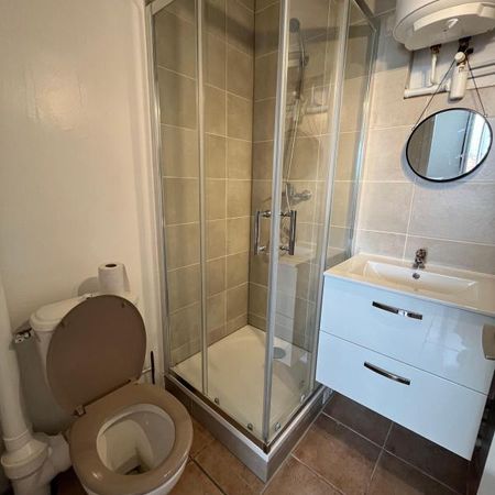 Location Appartement 1 pièce Meublé 17m² MONT DE MARSAN 40000 - Photo 4