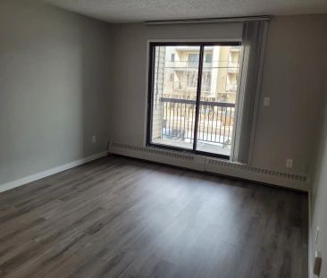 Century Plaza 12915/25 65 St in Belvedere ***1 & 2bdr Units + Walki... - Photo 2