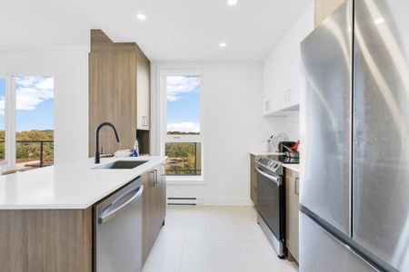 2030 Rue Lucien Thimens, Montréal (Saint-Laurent), QC H4R - Photo 3
