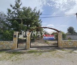 Μονοκατοικία για ενοικίαση - Ανθηδώνος, - Photo 5