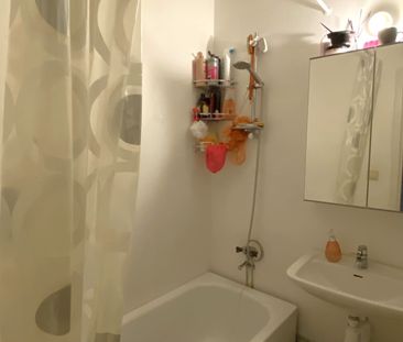 Avesta Näs Bruk: Etta i markplan - Foto 6