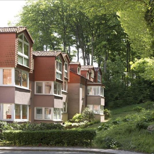 Gemütliche Wohnung sucht neuen Mieter - Photo 1