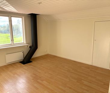 Grävlinge, Västerås - Foto 6