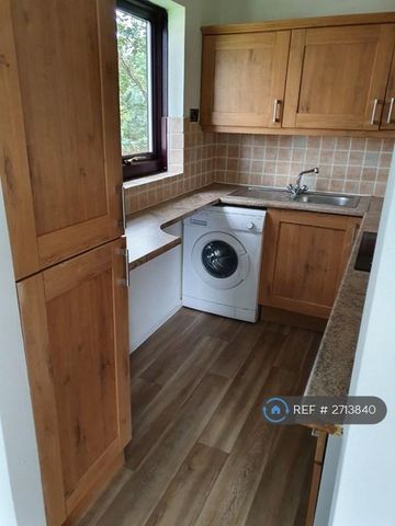 Studio to rent - Photo 4