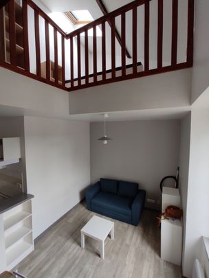 T2 MEUBLÉ PROCHE BORD DE VIENNE - Photo 1