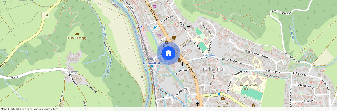 8488, Turbenthal, Bahnhofstrasse, 6