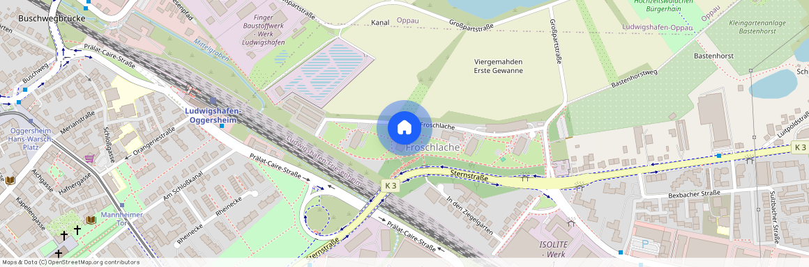 Froschlache 19, 67063 Ludwigshafen-Friesenheim