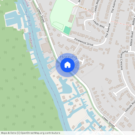 Lower Street, Horning, NORWICH