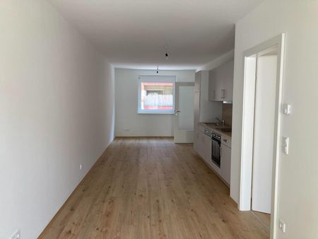 Neubauwohnungen - Erstbezug im Annenviertel [GF,Idl] - Foto 5