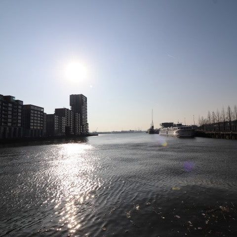 Te huur: Studio Schiehavenkade 352 in Rotterdam - Foto 1