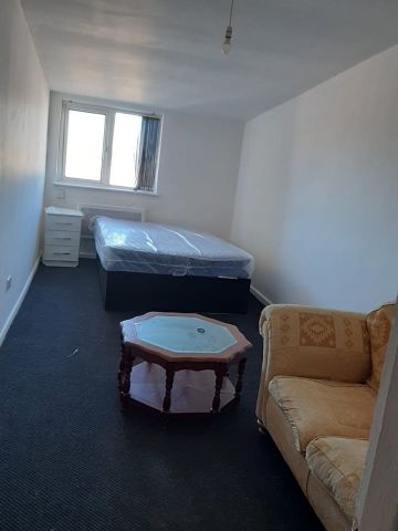 Studio Flat, Green Lane, B9 - Photo 3