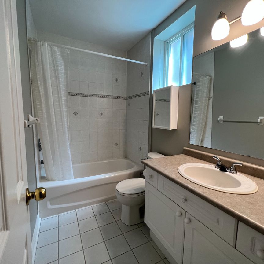 For Lease - 209 Dunsmore Lane Unit# Lower, Barrie, Ontario - Photo 1