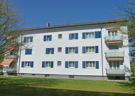 Moderne Wohnung unmittelbar beim Kantonsspital Aarau - Foto 4