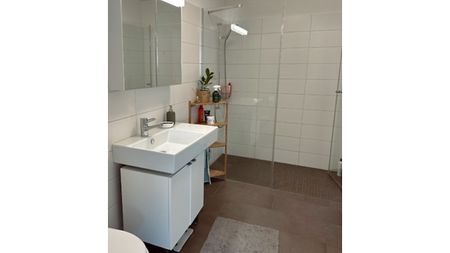 3½ Zimmer-Wohnung in Wetzikon (ZH), möbliert, auf Zeit - Foto 2