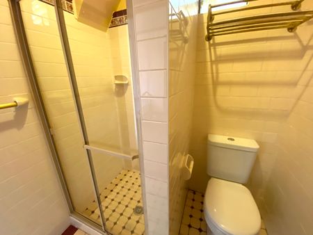 1/160 Smith Street, Summer Hill NSW 2130 - Studio For Rent | Domain - Photo 4