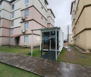 Apartamento com 2 quartos e 42m² para alugar em Fátima, Canoas. - Photo 5
