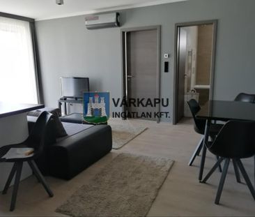 Kiadó új építésű lakás - Székesfehérvár - Photo 3