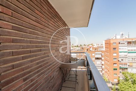 Flat for rent in El Viso (Madrid) - Photo 2