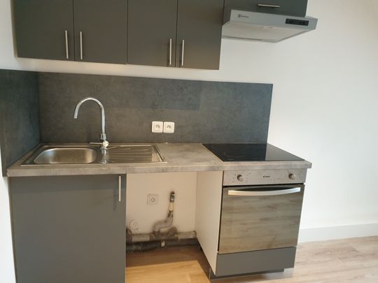 Location Appartement 1 pièce 22m² MULHOUSE 68100 - Photo 1