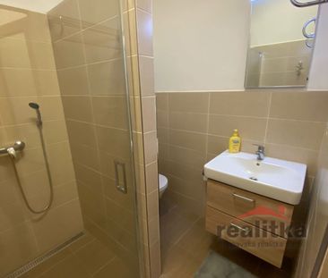 Pronájem bytu 1+kk a garsoniéry 18 m² - Fotografie 5