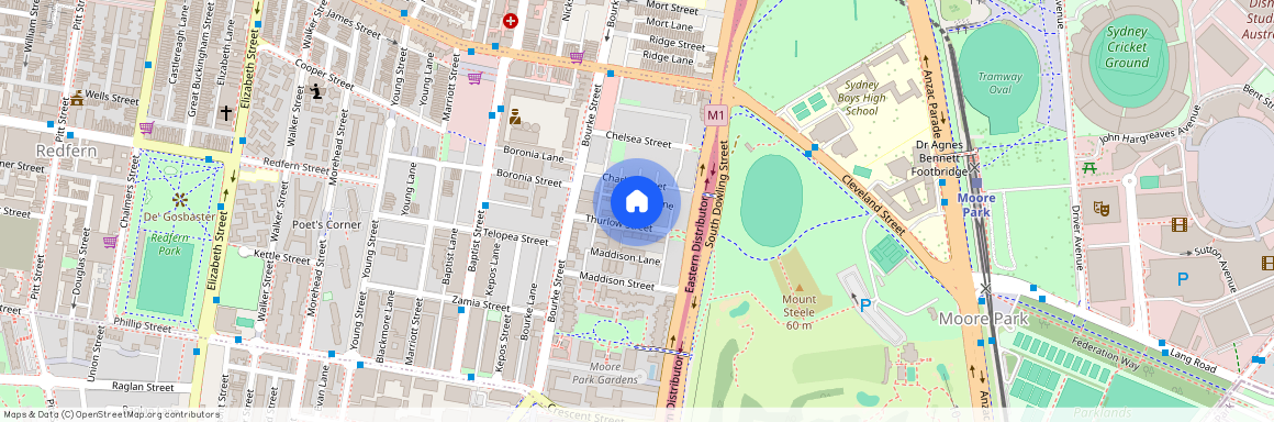 24 Thurlow St, NSW 2016, Redfern