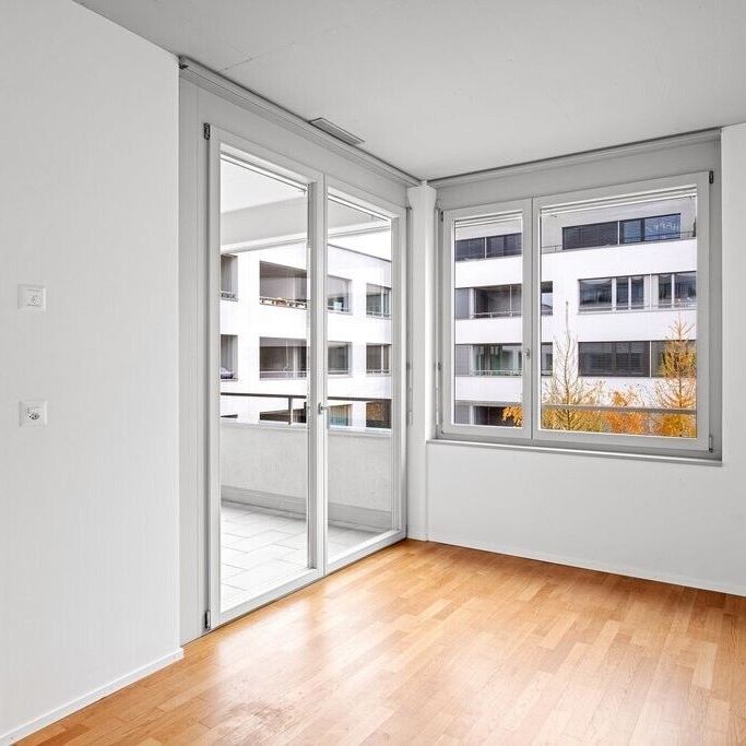 The dream apartment is looking for new tenants - Photo 1