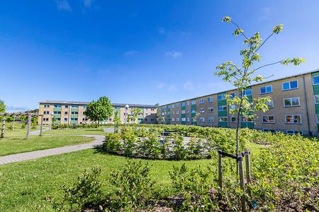 Asagården, Jættegården 1010-0 - Foto 4