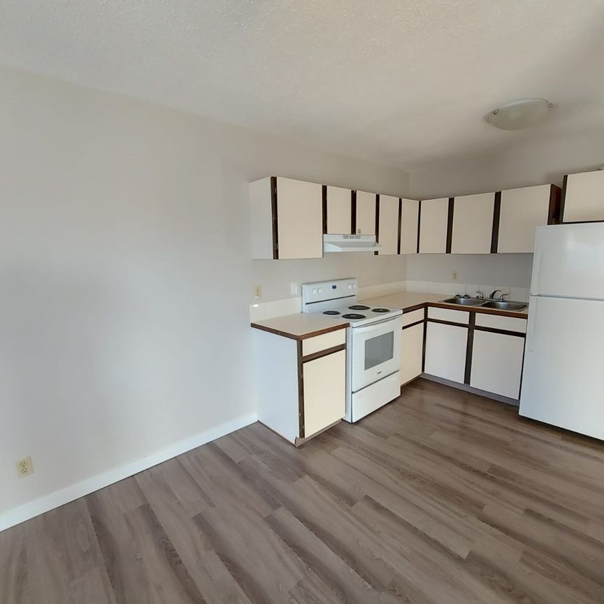 Pet Friendly 2 Bedroom, 1 Bathroom Apartment - Photo 1