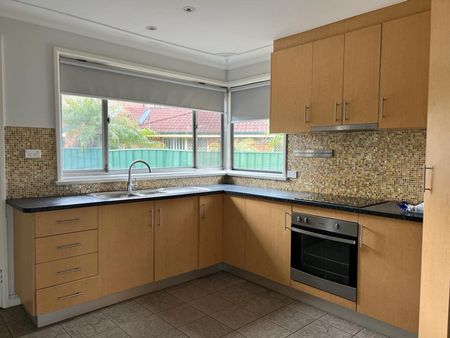 Large Family Yard - Photo 5