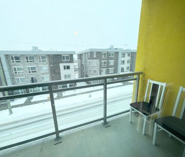 For Lease - 257 Hemlock Street Unit# 302, Waterloo, Ontario - Photo 3