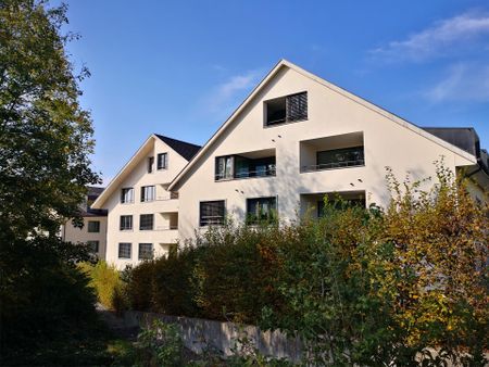Moderne 3.5-Zimmer Gartenwohnung in Mettmenstetten - Foto 4