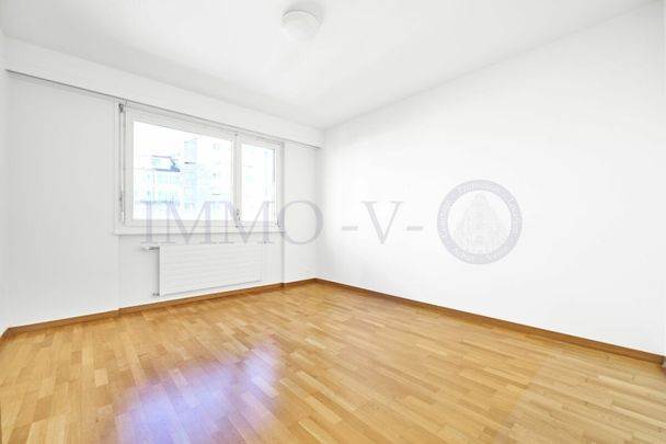 SPACIEUX AVEC BALCONS ET VUE LAC - EMPLACEMENT IDYLLIQUE - Photo 1