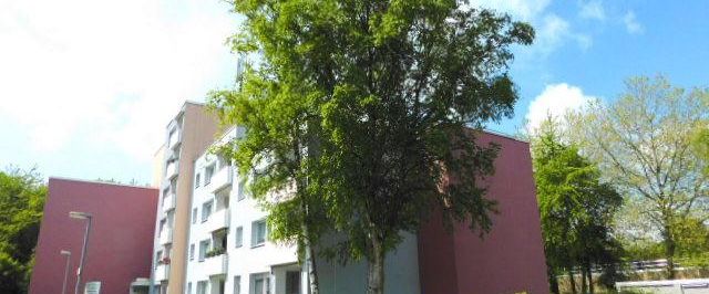 Günstiges Senioren-Apartment (WBS) Seniorenwohnung - Photo 1
