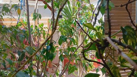 2-bedroom apartment for rent in Cabanyal-Canyamelar, bills included - Photo 4