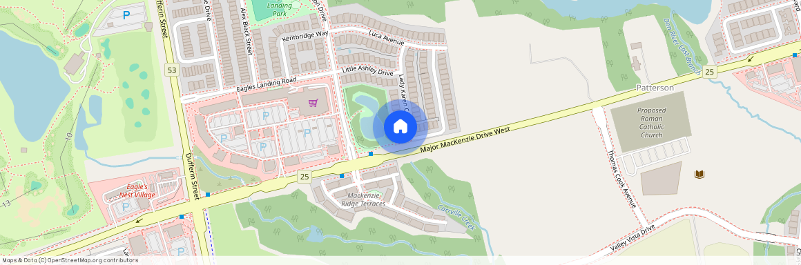 95 Lady Karen Crescent Basement N/A, Vaughan