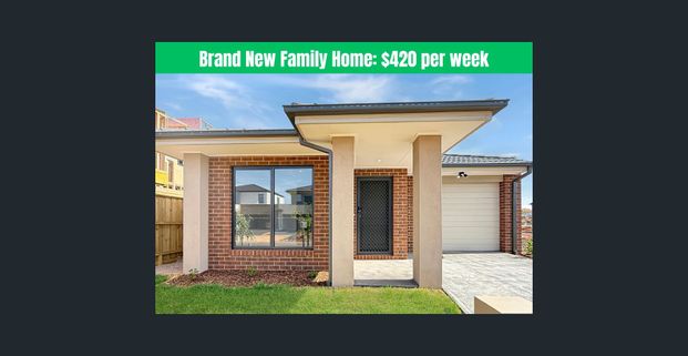 🏡 Brand New 4-Bedroom House in Thornhill Park - Photo 1